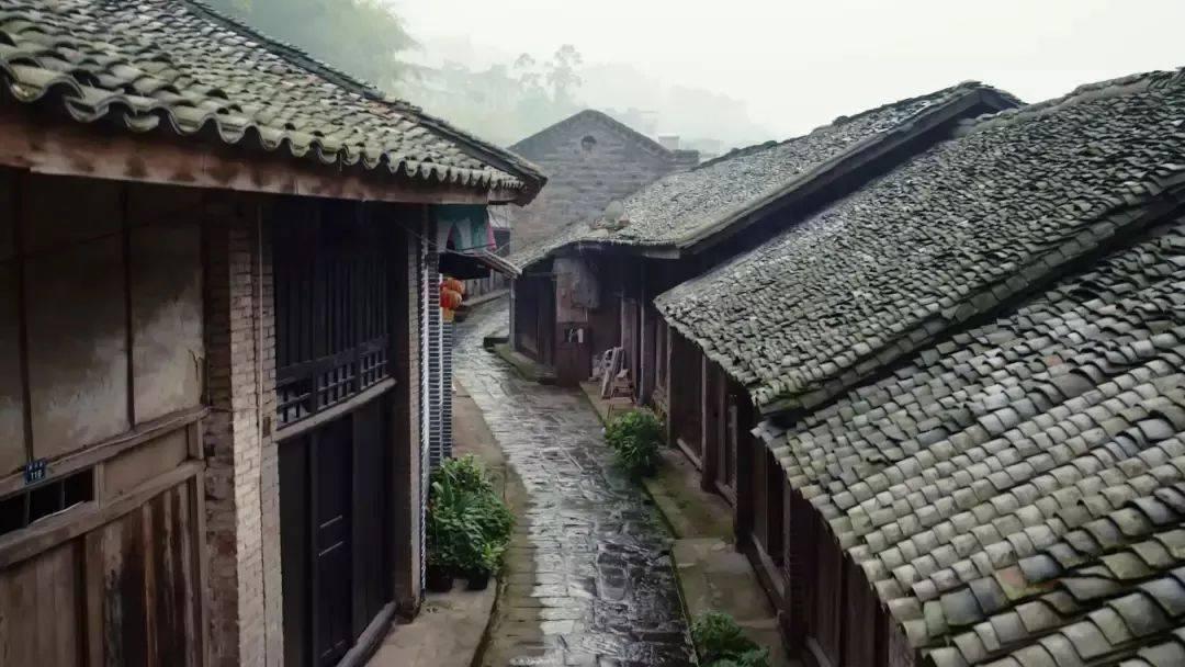 加入这个夏天,古偶里的CP格外出圈,什么样的CP能火起来?知识星球,轻松掌握专业知识